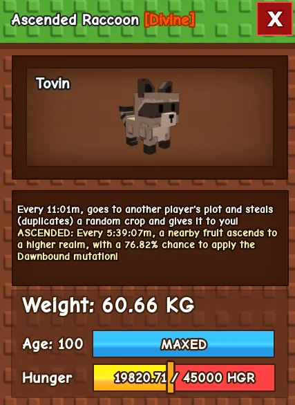 60KG - 61KG ASCENDED RACCOON — Account account