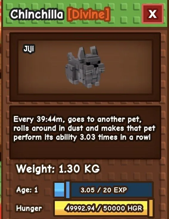 New pet Chinchilla — Account account