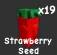 Strawberry Seed