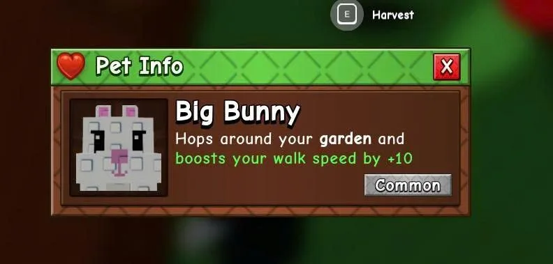 Bunny (Common)