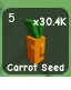 Carrot Seed (Common)