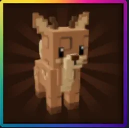 Deer — Account account