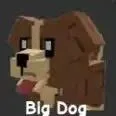 Dog (Common)