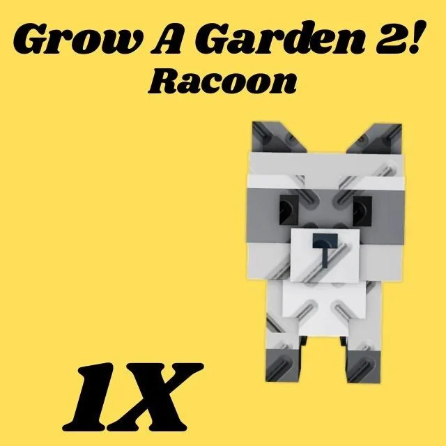 Raccoon