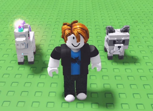 Combo Raccon + Unicorn