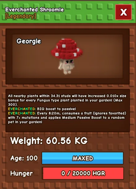 60KG SHROMMIE — Account account