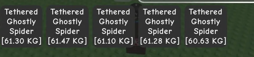 Huge Ghostly Spider 200kg + Tag : GHS 60 kg huge 200kg +