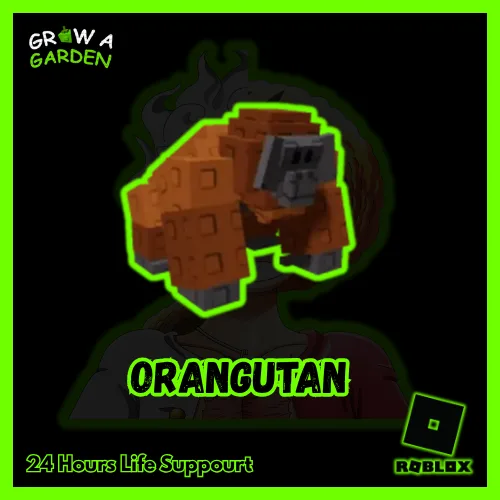 Orangutan - Fast Delivery! — Account account