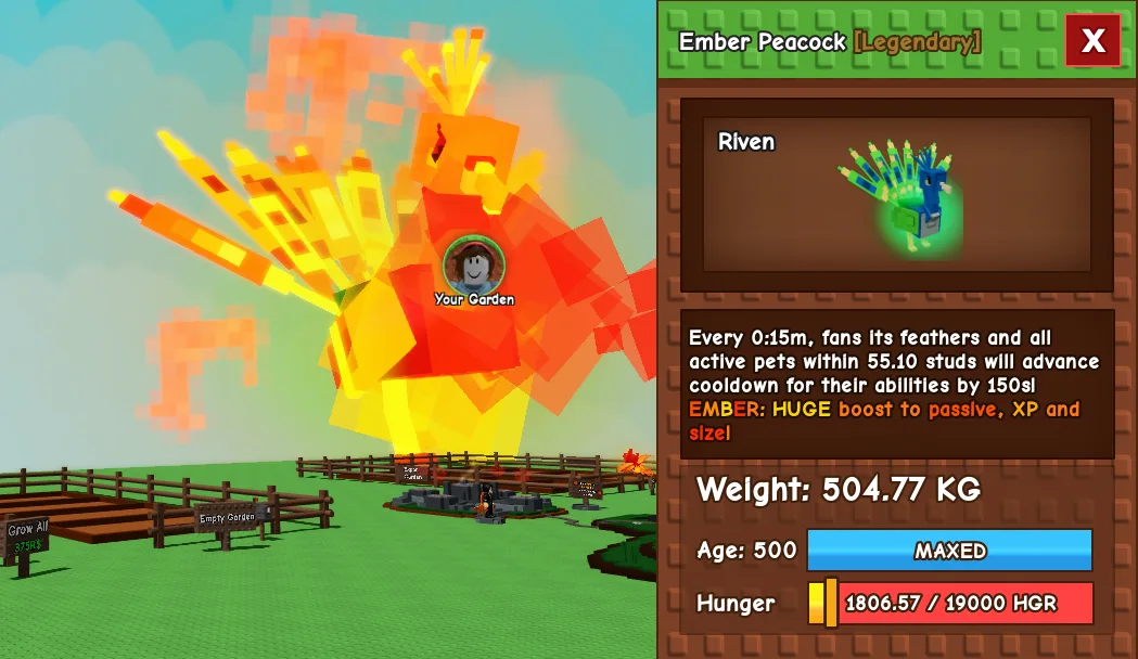 504.77kg Godly Ember Peacock