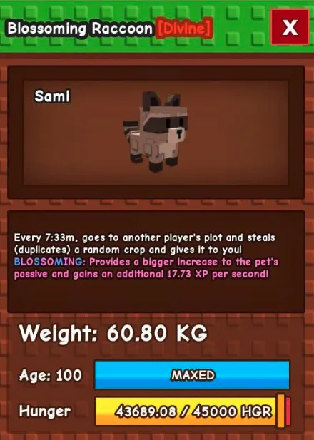 VERY RARE! Blossoming Huge Raccoon 60-61KG Maxed Age 100 Fast Delivery — Account account
