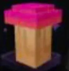 Maple Mushroom Seed