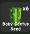Baby Cactus Seed Cheap! — Account account