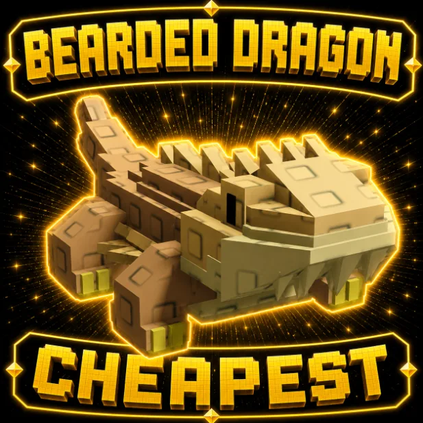 Bearded Dragon — Account account