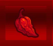 3 Ghost Pepper Pack 249R