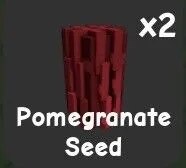 Pomegranate Seed (Super) — Account account