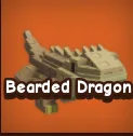 Bearded Dragon — Account account
