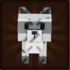Raccoon (Super) — Account account