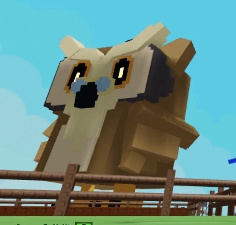 HUGE Gigantic wise owl 183.54 Age 500 Orin (L) LOOKS AWESOME