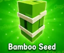 Bamboo Seed — Account account
