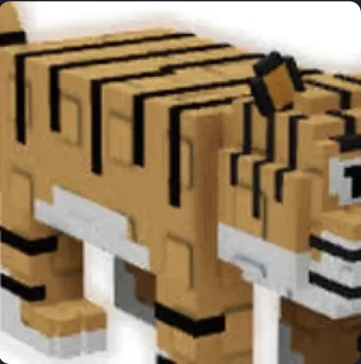 TIGER — Account account
