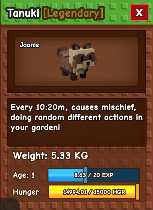 HUGE TANUKI AGE 1 5.33KG GAG PET INSTANT DELIVERY
