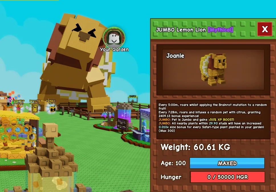 60kg+ JUMBO Lemon Lion — Account account