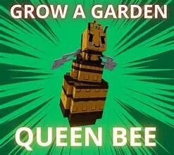 READY HUGE QUEEN BEE 60/61 KG Grow A Garden