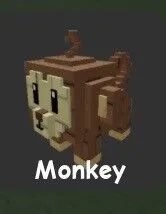 Monkey — Account account