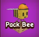Pack Bee 3X — Account account