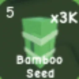 BAMBOO SEED X1 — Account account