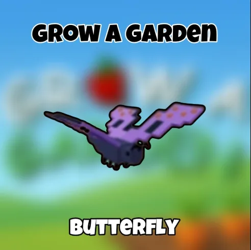 Butter fly