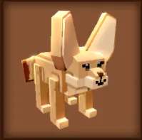 Fennec Fox - GAG