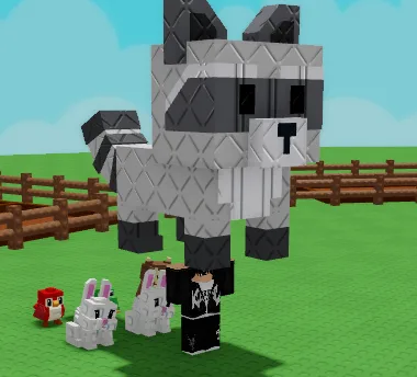 Raccoon (Super)