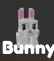 Bunny (Uncommon) — Account account