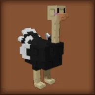Ostrich