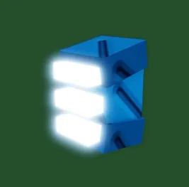 GUARANTEED FOSSLIGHT SEED