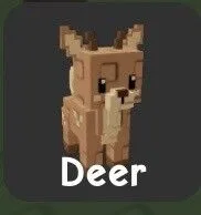 Deer