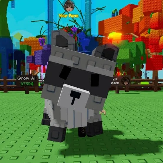 Raccoon (mega) age 100 — Account account