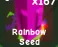 Rainbow Seed — Account account