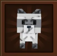 Raccoon (Super) — Account account