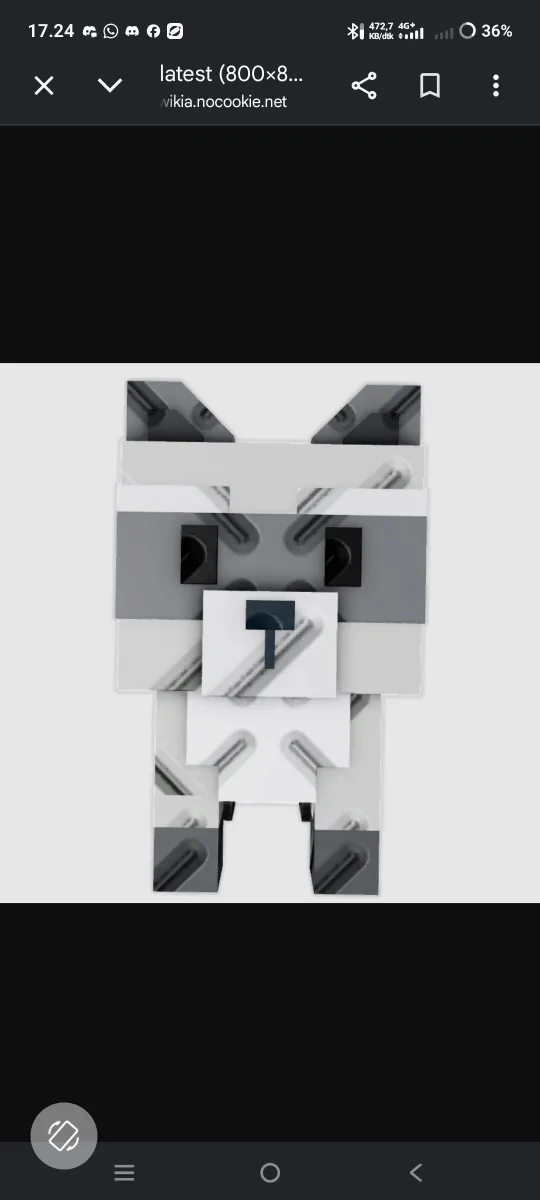 Raccoon (Super)