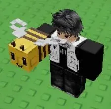 Bee (Super) — Account account