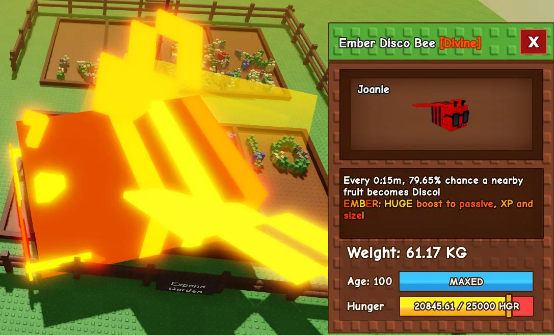 Titanic Huge EMBER Disco Bee 60Kg+ Age 100 15s CD