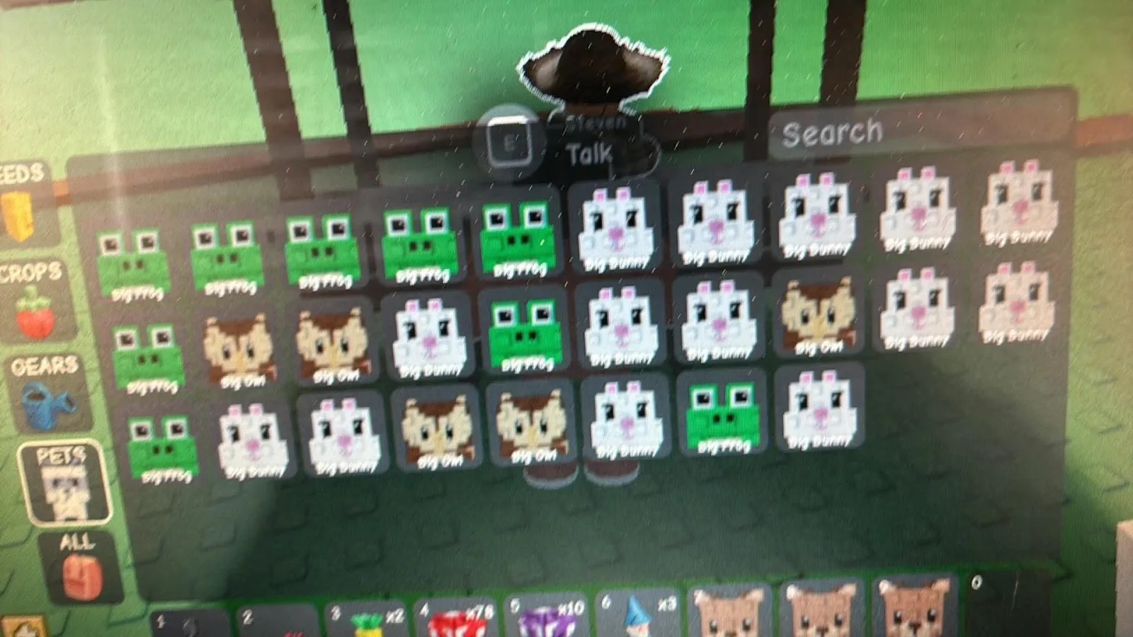 Random x1 pet big