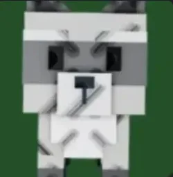 Raccoon (Super)