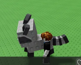 Raccoon Random size/age
