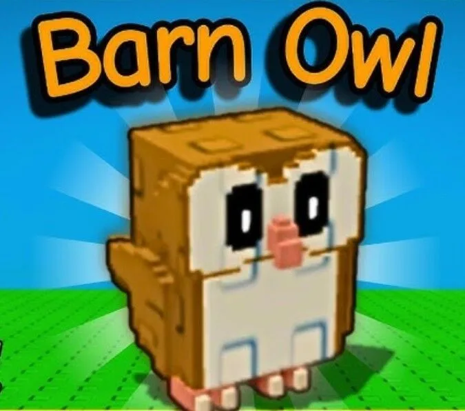BARN OWL (RANDOM KG)