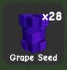 Grape Seed