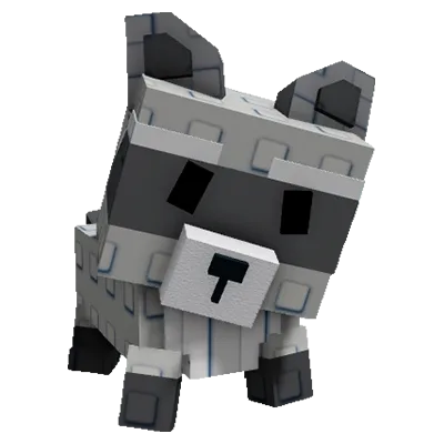 RACCOON — Account account