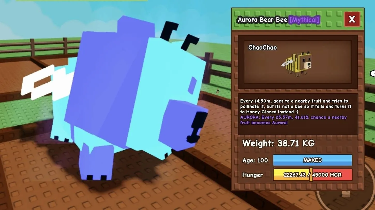 Huge AURORA Bear Bee - 38.71 KG (Age 100)